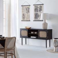 Two Door TV Console