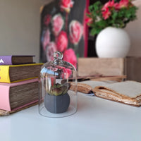 Mini Glass Dome Cloche