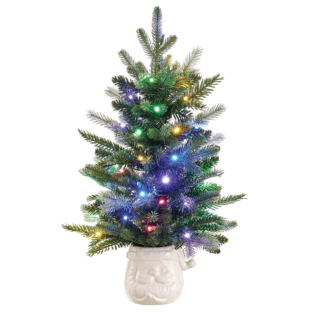 23" Battery Operated Mixed Pine Tree in Santa Container With Light