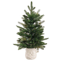 23" Battery Operated Mixed Pine Tree in Santa Container With Light