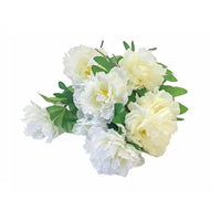 Peony Stem