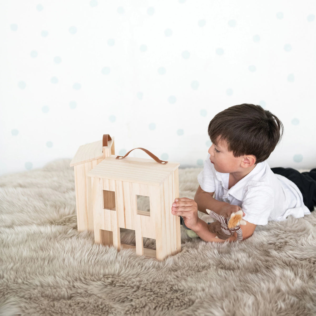 House Shaped Storage Box