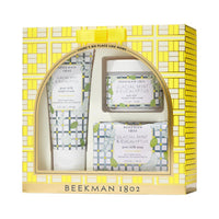 Beekman 1802 Glacial Mint & Eucalyptus Gift Set