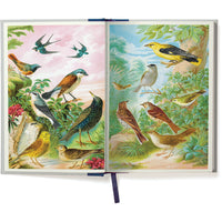 Open book with illustrations of birds on each page