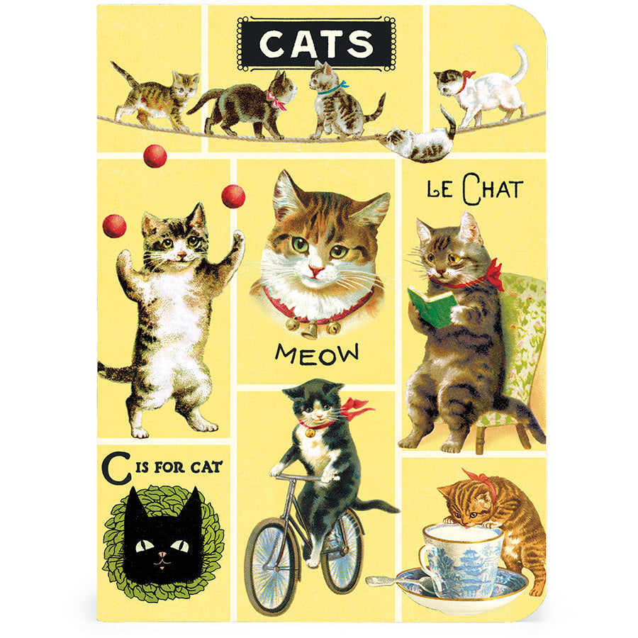 Cats Mini Notebooks