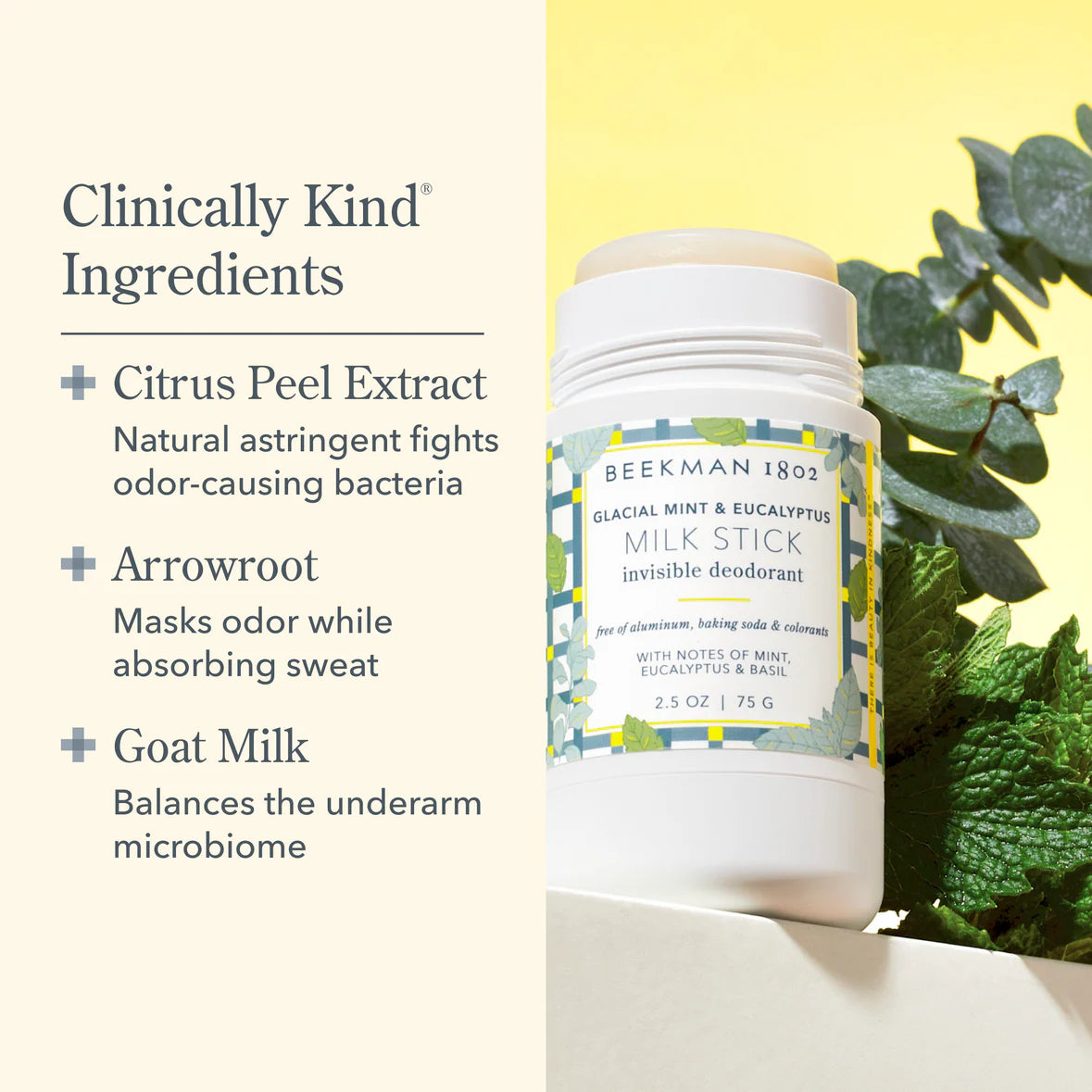 Beekman 1802 Glacial Mint & Eucalyptus Milk Stick