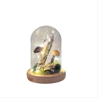 Handmade Ecoclay Mushroom Terrarium w/ Fairy Lights