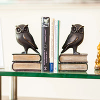 Owl on Books Bookend Set | Danya B.