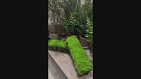 A video that zooms in on rectangular fake stumps with moss before transitioning to a zoom out shot of the same stumps but now with clusters of white flowers on them.