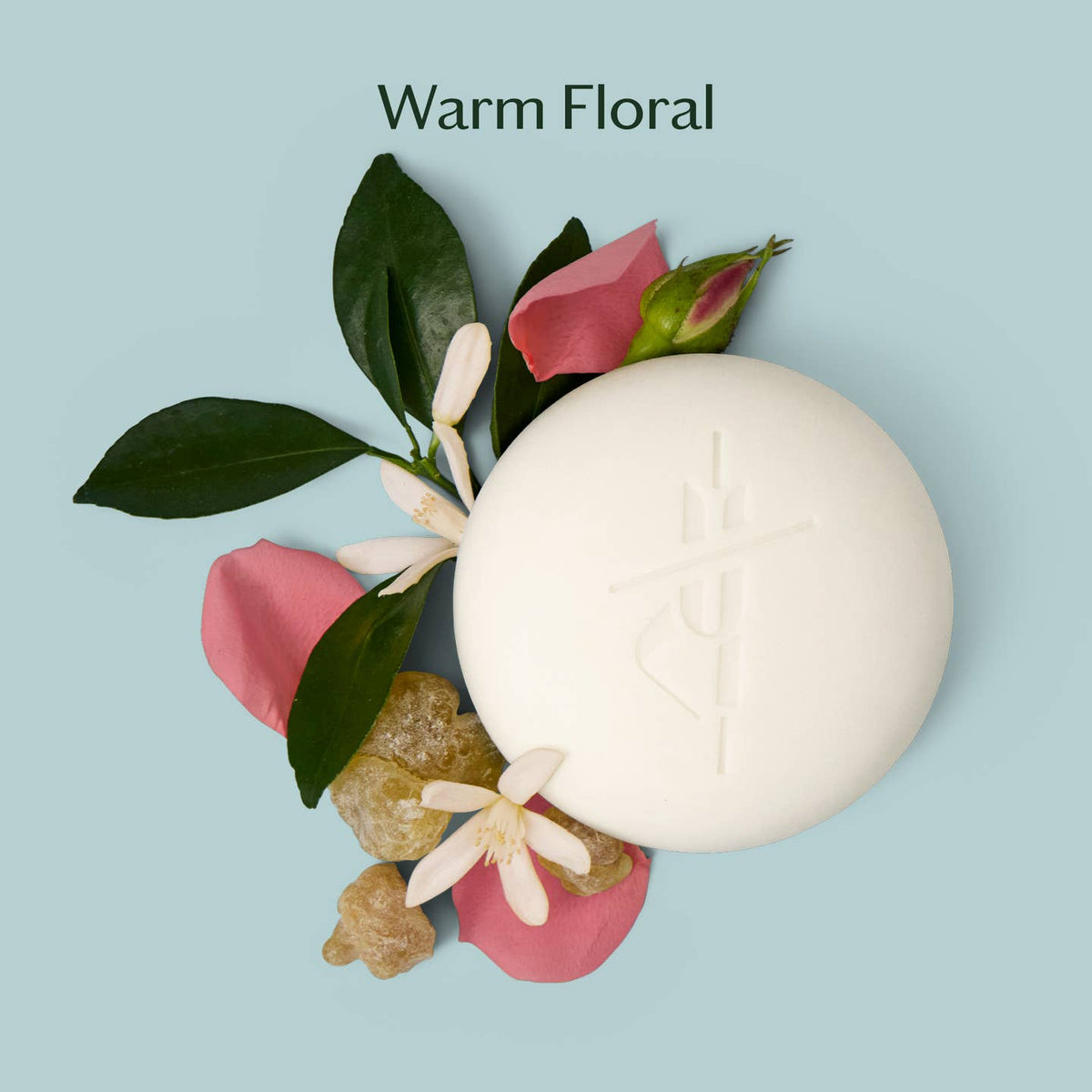 Daily Stone | Deep Moisturizing Lotion Bar - 2 Sizes