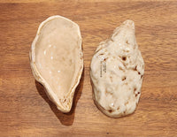 Oyster Shell Dish