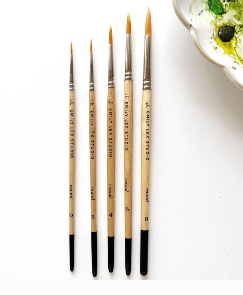 Set of paint brushes with black ferrules on a white background