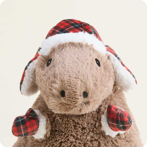 Cozy Capybara Warmies®
