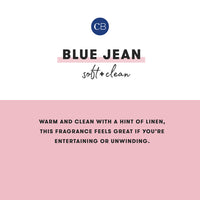 Capri Blue Volcano Fragrance PURA Refill