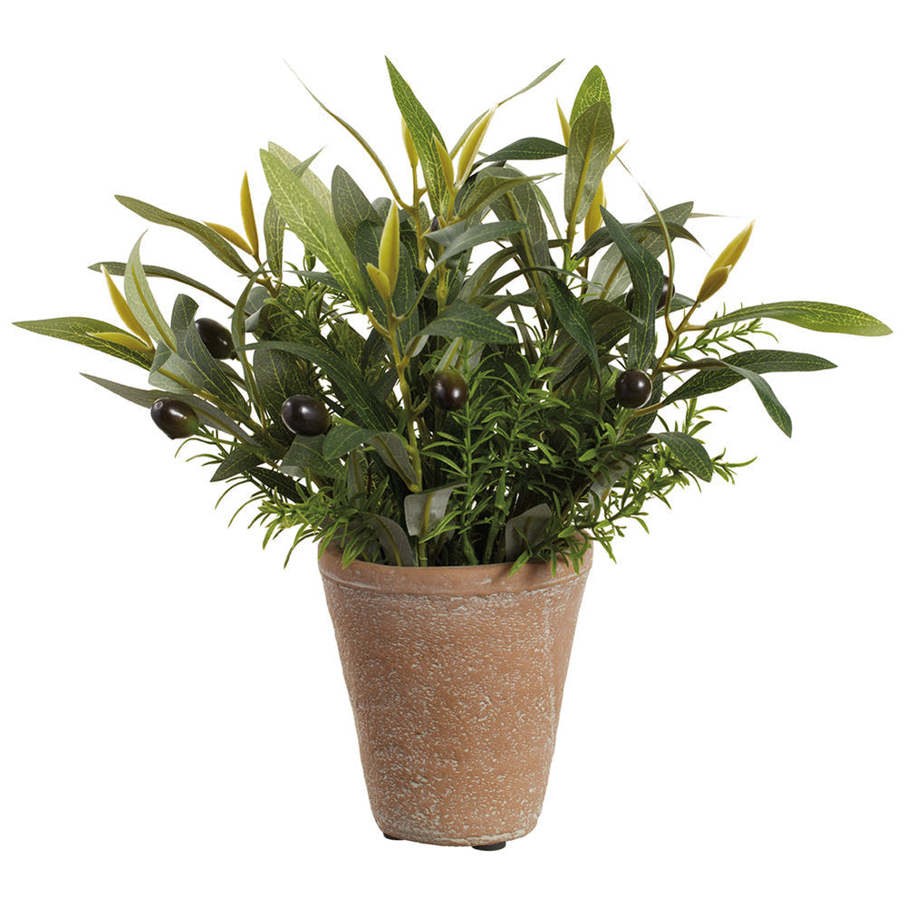 12" Mixed Olive & Rosemary Herb Silk Plant w/Cement Pot