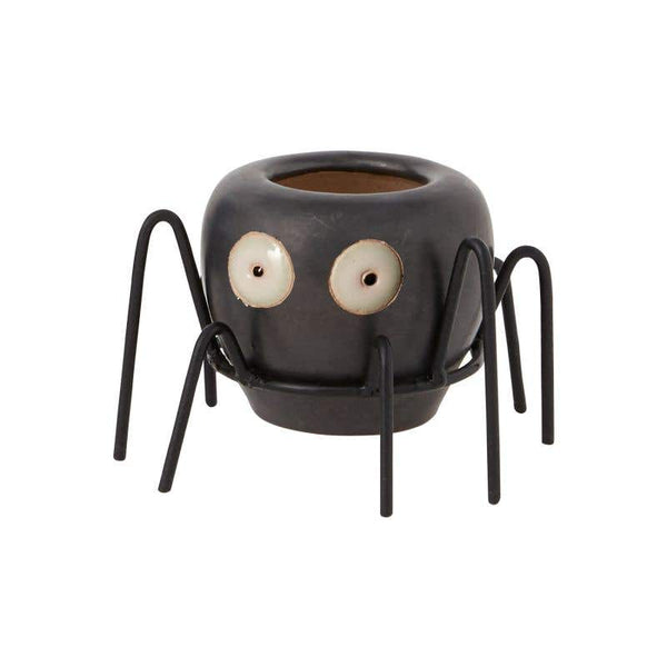 Mini Kooky Spider Budvase