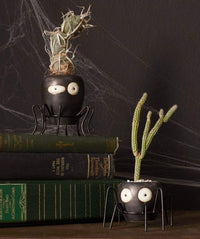 Mini Kooky Spider Budvase