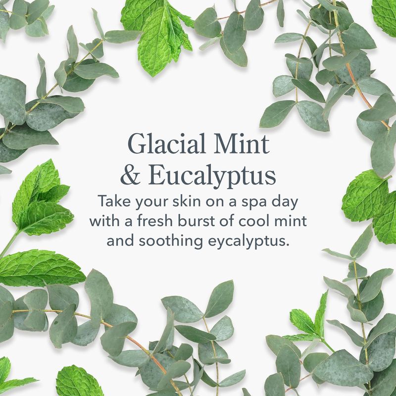 Beekman 1802 Glacial Mint & Eucalyptus Gift Set