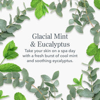 Beekman 1802 Glacial Mint & Eucalyptus Gift Set