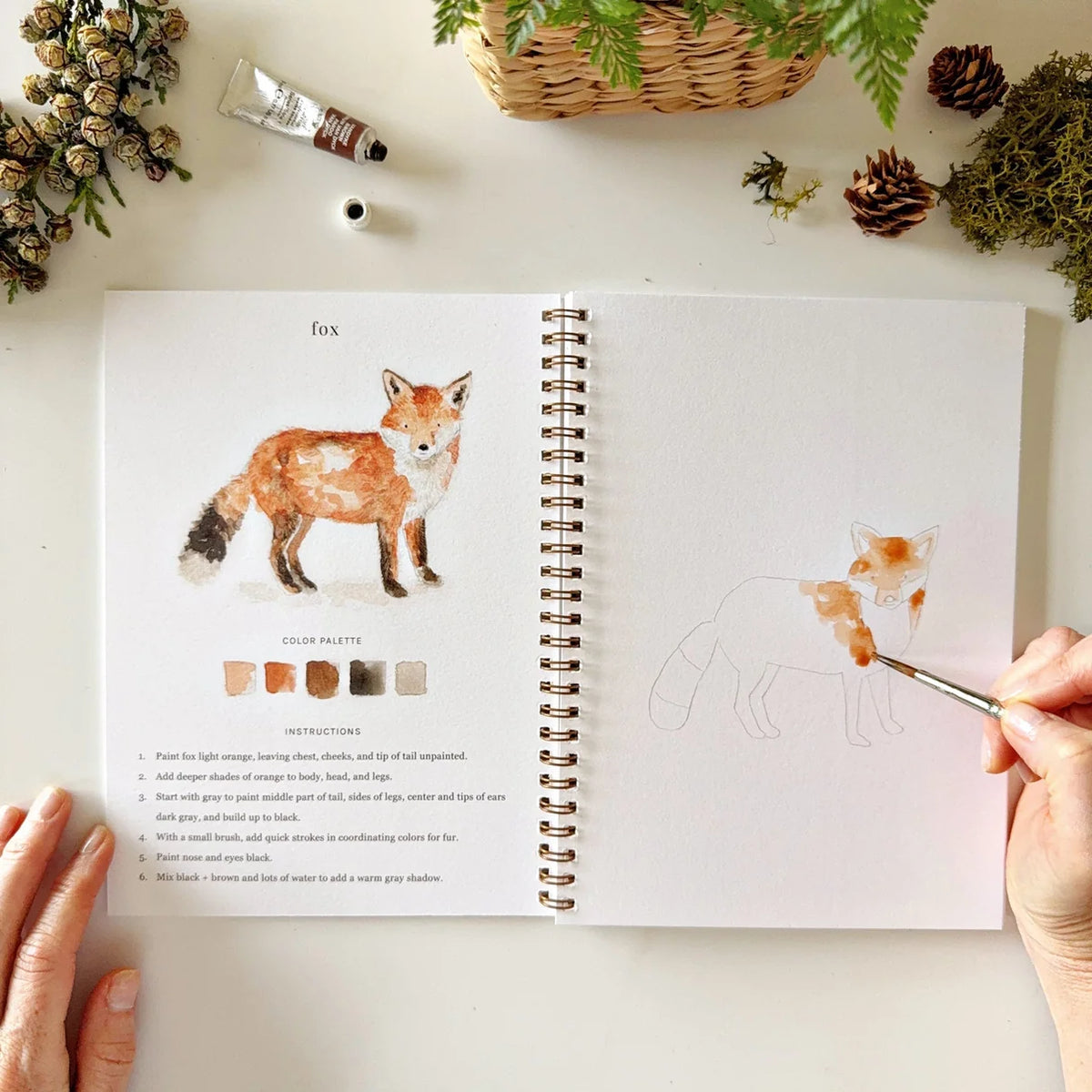 Open book with a fox illustration and color chart, surrounded by nature-themed decor.