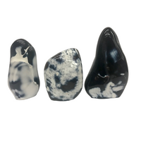 Black & White Agate Polished Rock