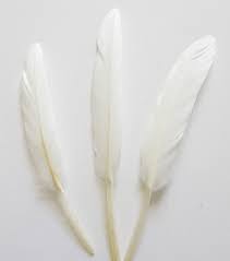 Faux White Feather Bundle
